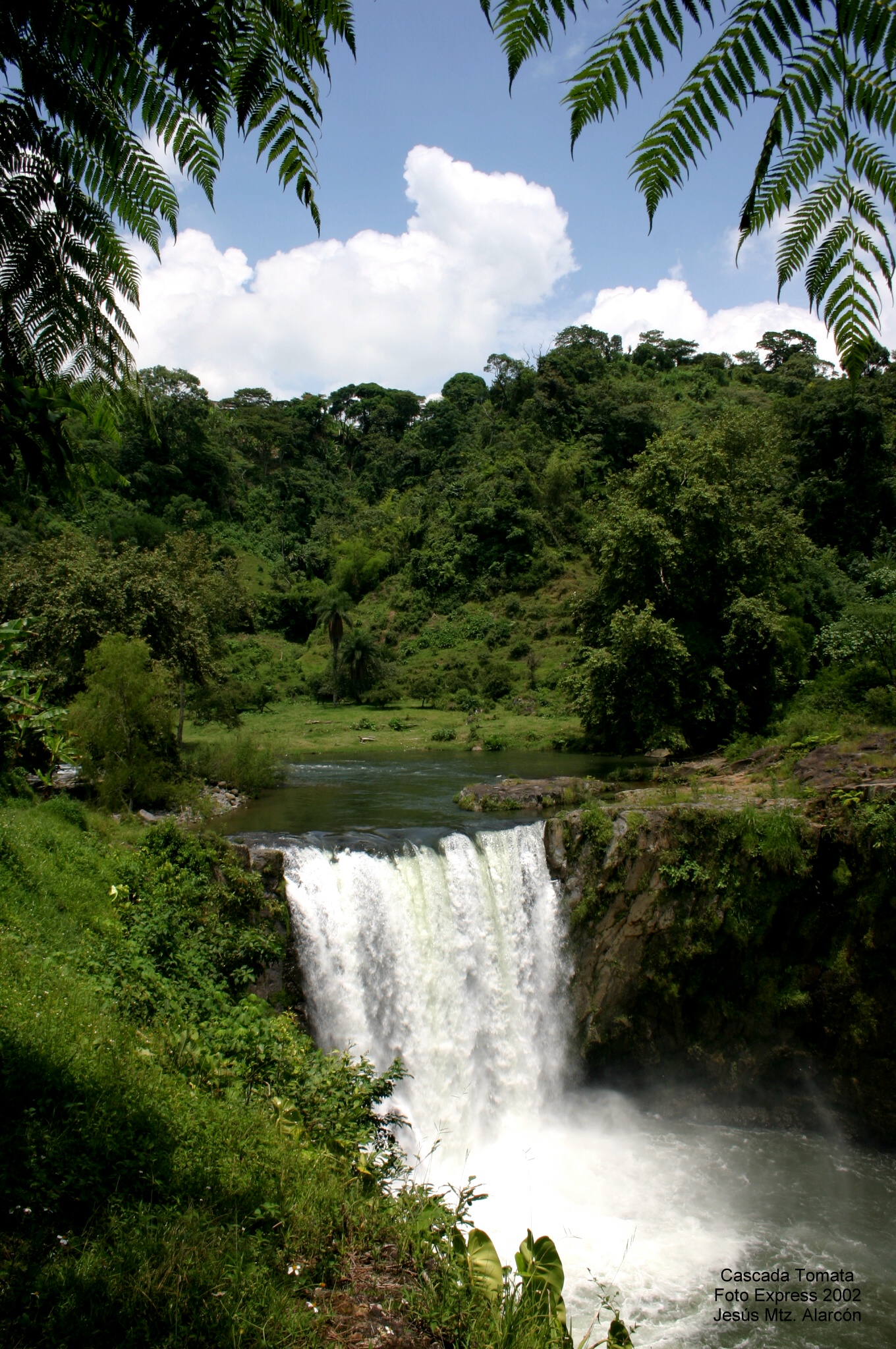 Cascada de Tomata